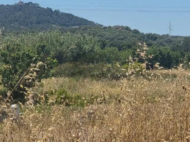 Terreno en venta en Pla de Mallorca, Baleares
