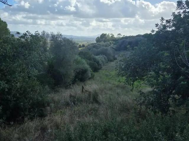 Terreno en venta en Pla de Mallorca, Baleares