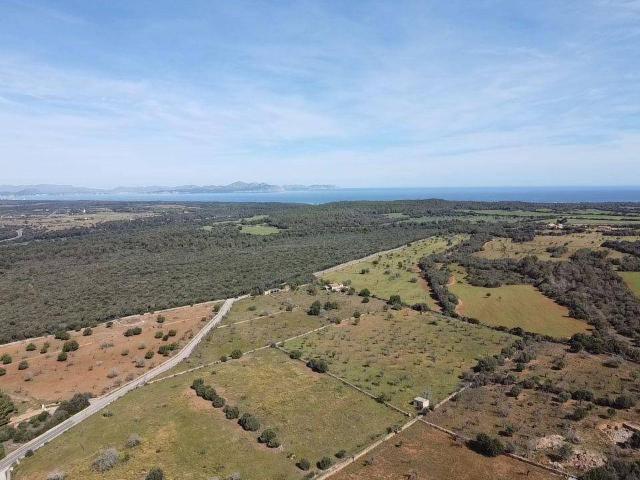 Terreno en venta en Pla de Mallorca, Baleares
