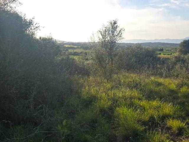 Terreno en venta en Pla de Mallorca, Baleares