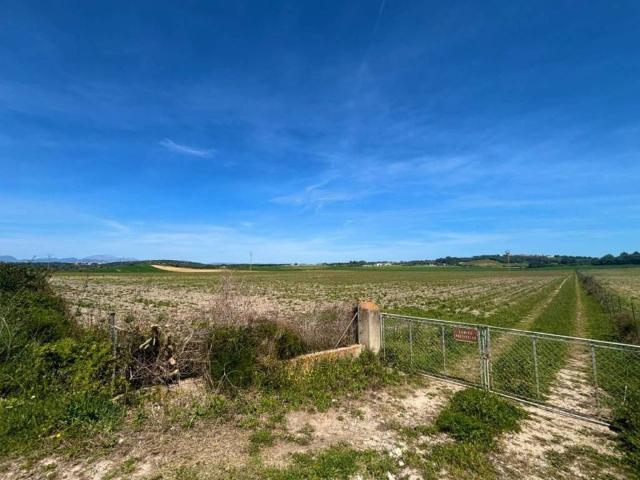Terreno en venta en Pla de Mallorca, Baleares