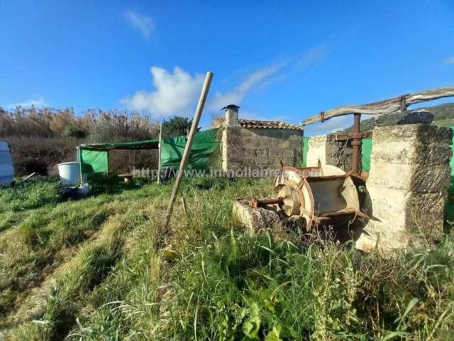 Terreno en venta en Pla de Mallorca, Baleares