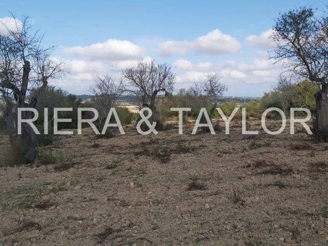 Terreno en venta en Petra