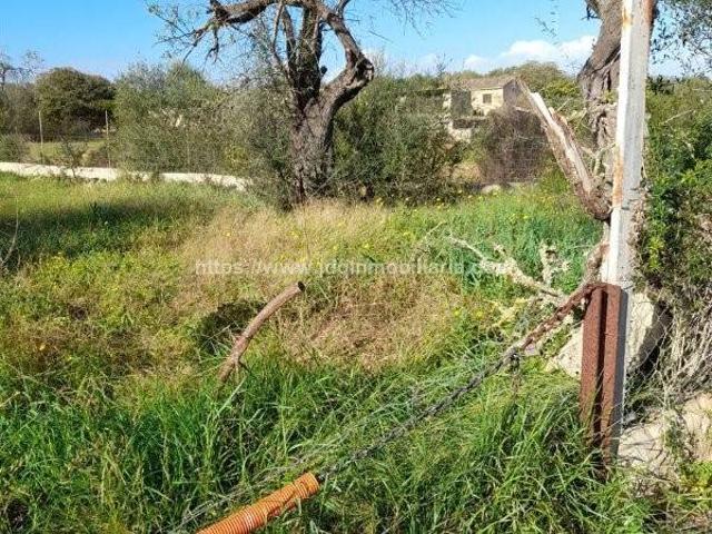 Terreno en venta en Petra