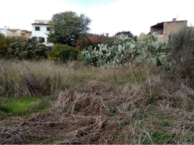 Terreno en venta en Petra, Illes Balears
