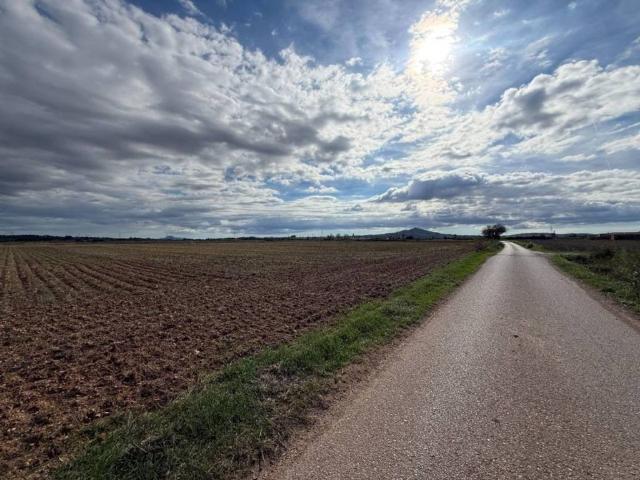 Terreno en venta en Petra, Illes Balears
