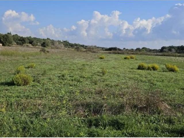 Terreno en venta en Pla de Mallorca, Baleares