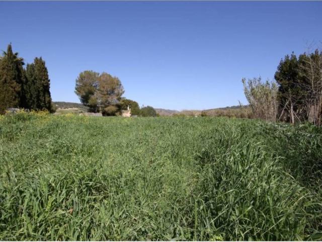 Terreno en venta en Pla de Mallorca, Baleares