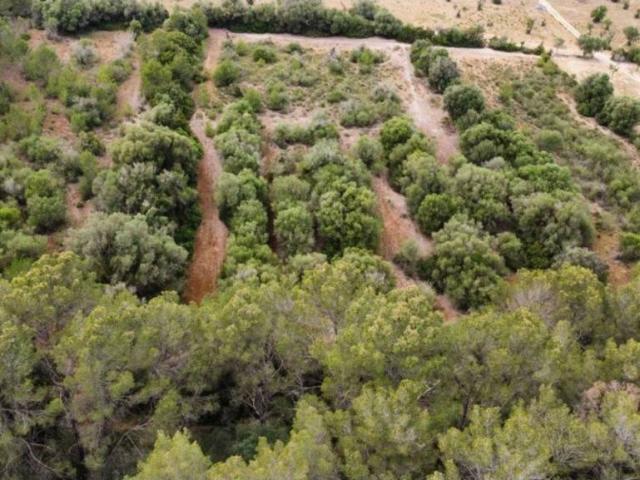 Terreno en venta en Petra