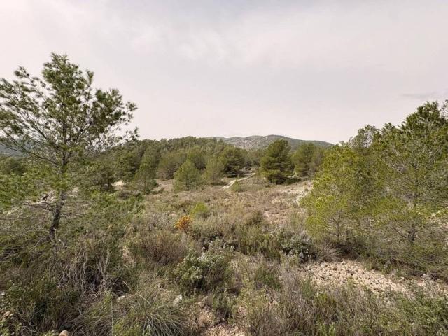 Terreno en venta en el Vinalopó Mitjà / El Vinalopó Medio, Valencia