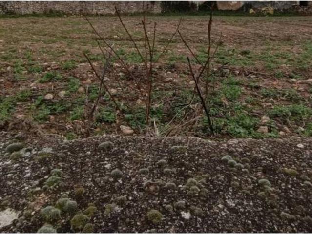 Terreno en venta en Arabako Mendialdea, Guipúzcoa
