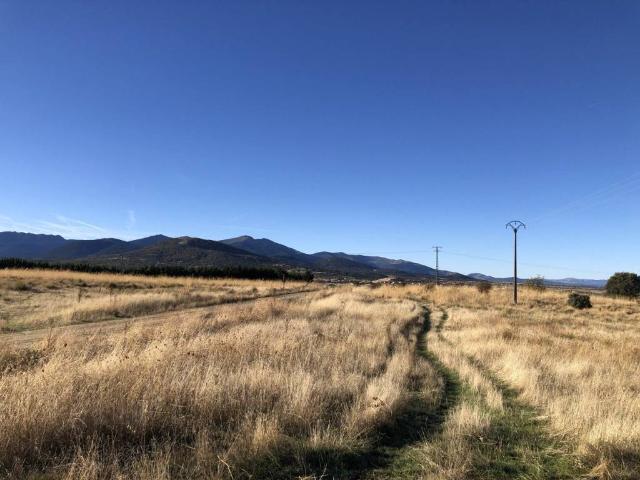 Terreno en venta en Palazuelos De Eresma, Castilla y León