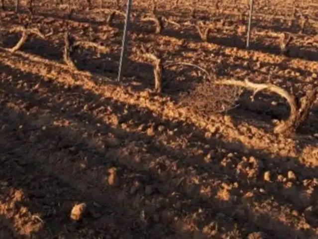 Terreno en venta en Peñafiel, Castilla y León
