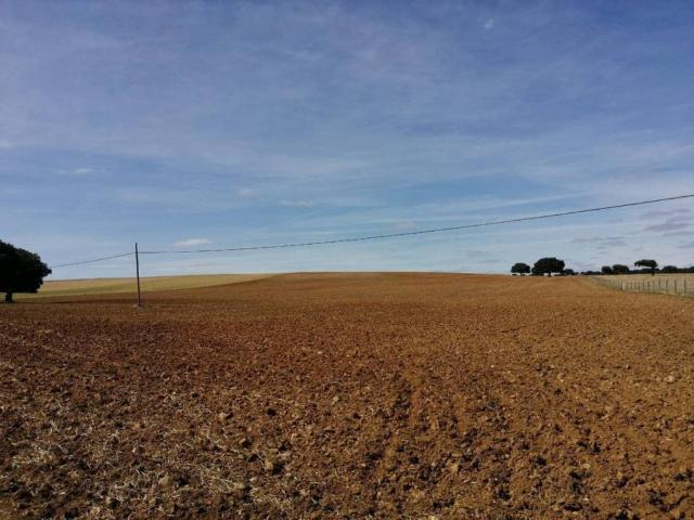 Terreno en venta en Peñaranda De Bracamonte, Castilla y León