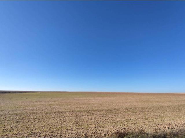 Terreno en venta en Peñaranda De Bracamonte, Castilla y León