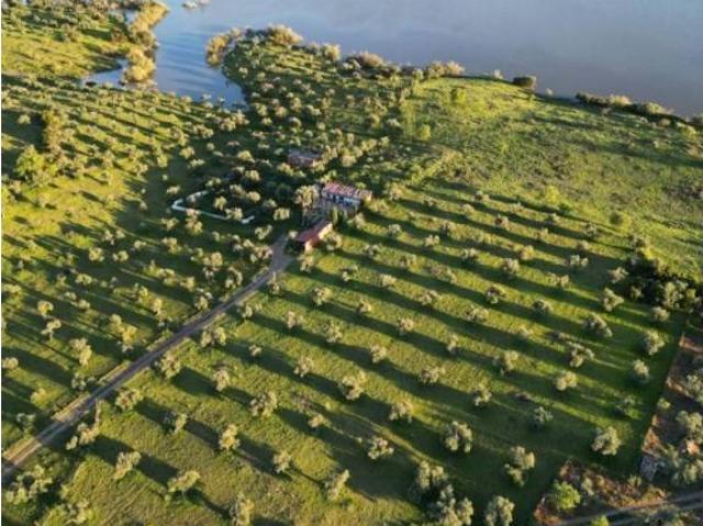 Terreno en venta en Peñarroya-pueblonuevo, Andalucía