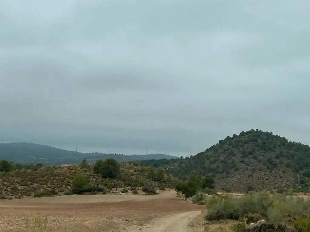 Terreno en venta en Peñas De San Pedro, Castilla-La Mancha