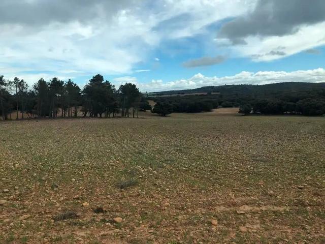 Terreno en venta en Peñascosa, Castilla-La Mancha