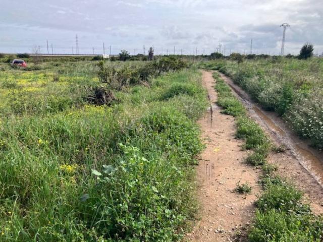 Terreno en venta en l'Horta Sud, Valencia