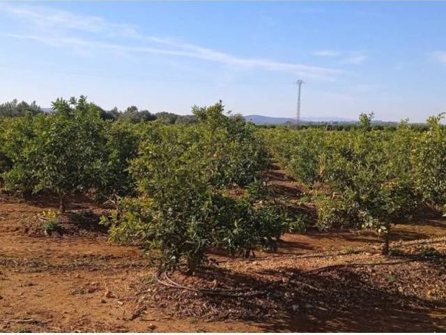 Terreno en venta en l'Horta Sud, Valencia