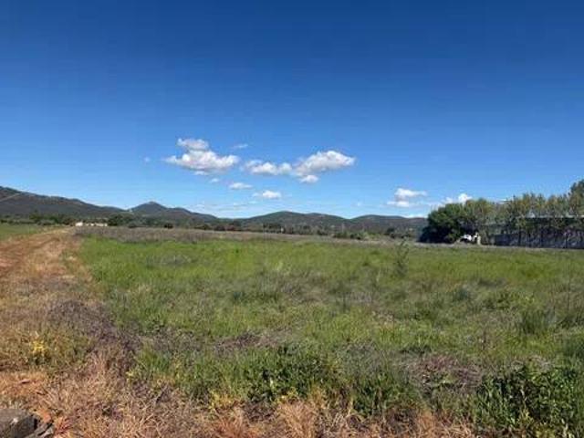Terreno en venta en Piedrabuena, Castilla-La Mancha