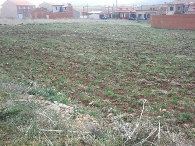 Terreno en venta en Piedrabuena, Castilla-La Mancha