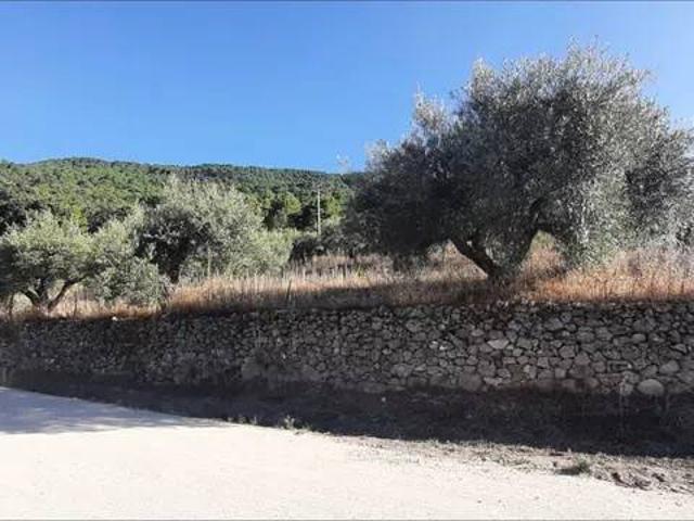 Terreno en venta en Piedralaves, Castilla y León