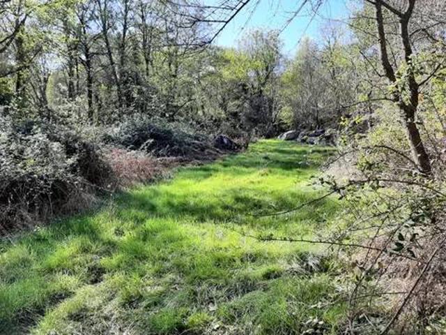 Terreno en venta en Piedralaves, Castilla y León