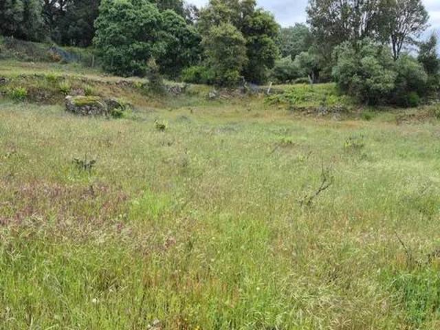 Terreno en venta en Piedralaves, Castilla y León