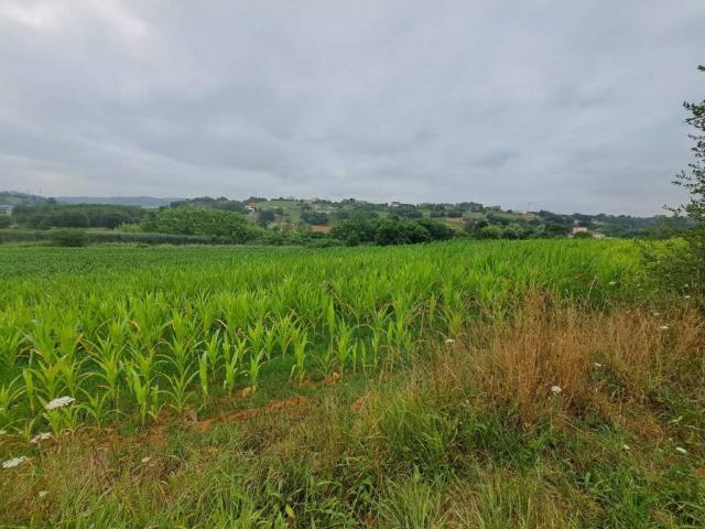 Terreno en venta en Piélagos, Cantabria
