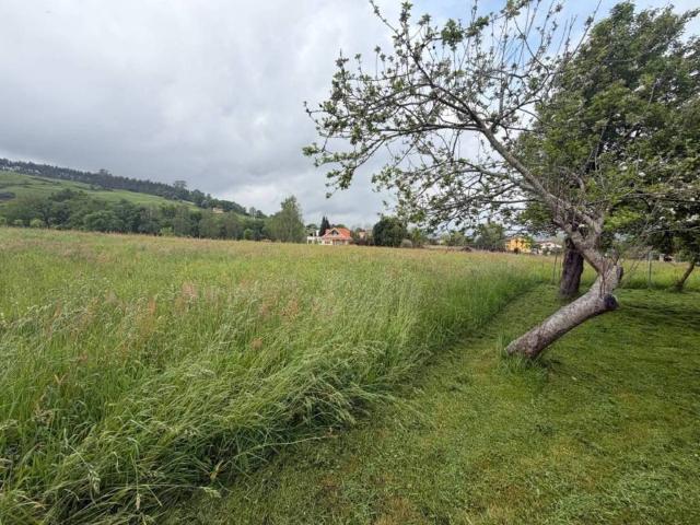 Terreno en venta en Renedo de Piélagos, Piélagos