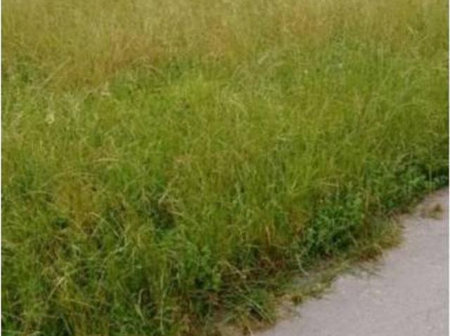 Terreno en venta en Piélagos, Cantabria
