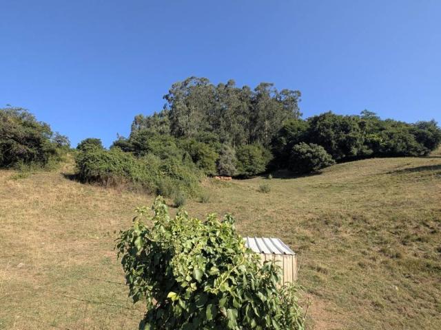 Terreno en venta en Parbayón, Piélagos