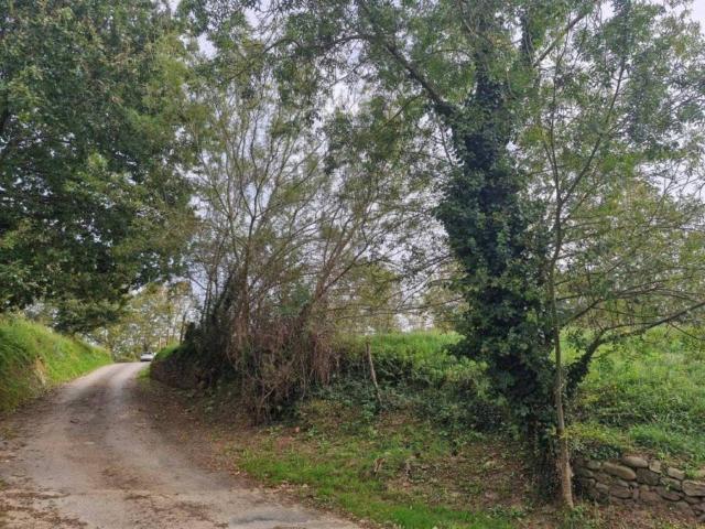 Terreno en venta en Piélagos, Cantabria