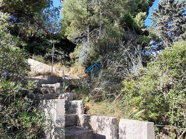 Terreno en venta en Piera