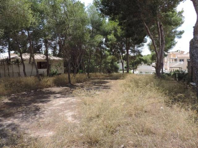 Terreno en venta en el Baix Segura / La Vega Baja, Valencia