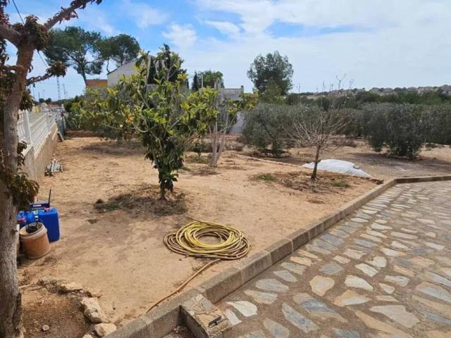 Terreno en venta en el Baix Segura / La Vega Baja, Valencia