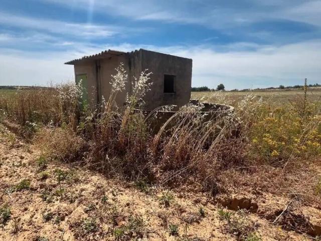 Terreno en venta en Pilas, Andalucía