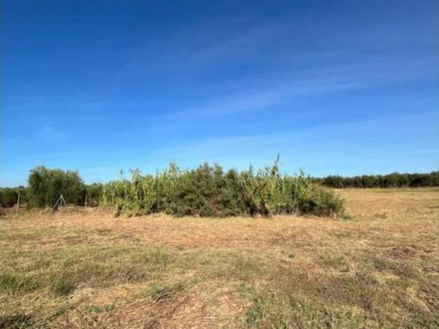 Terreno en venta en Pilas, Andalucía