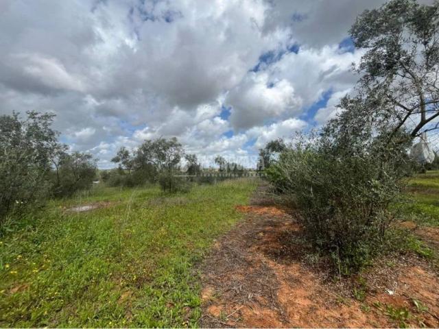 Terreno en venta en Pilas, Andalucía