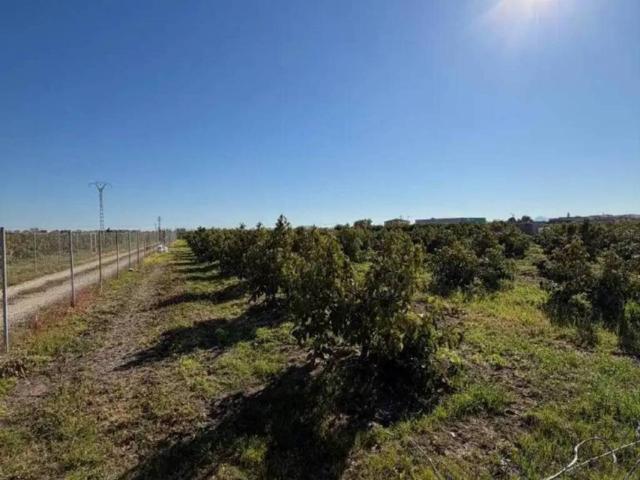 Terreno en venta en Platja de Piles, la Safor