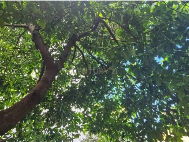 Terreno en venta en la Safor, Valencia