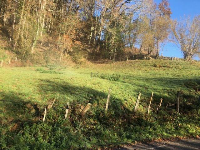 Terreno en venta en Piloña, Belonciu