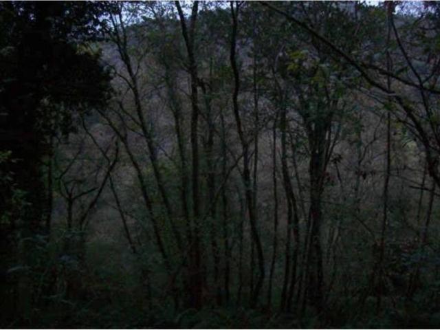 Terreno en venta en Piloña, Asturias