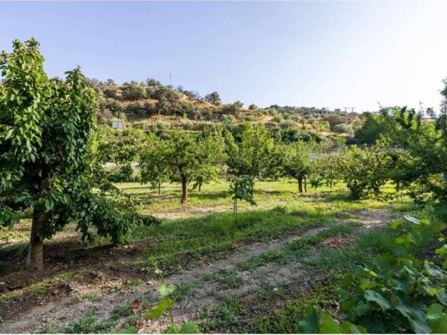 Terreno en venta en Comarca de la Vega de Granada, Andalucía