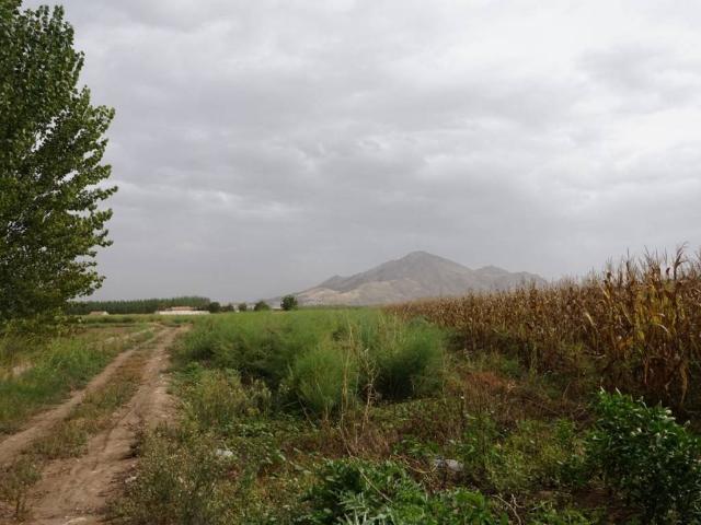 Terreno en venta en Comarca de la Vega de Granada, Andalucía