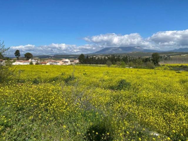 Terreno en venta en Comarca de la Vega de Granada, Andalucía