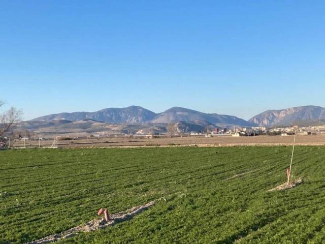 Terreno en venta en Comarca de la Vega de Granada, Andalucía