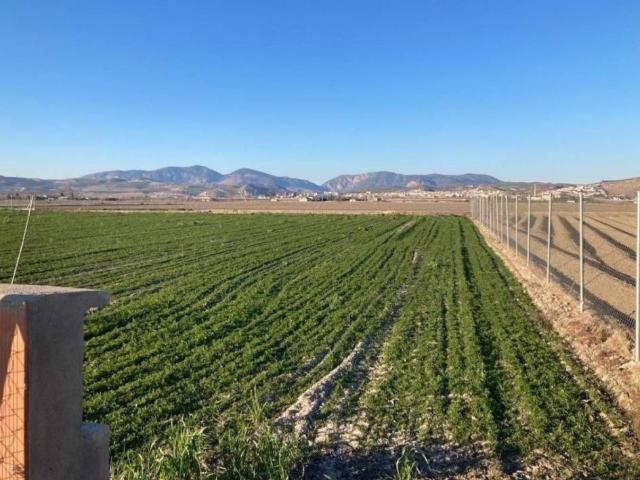 Terreno en venta en Comarca de la Vega de Granada, Andalucía