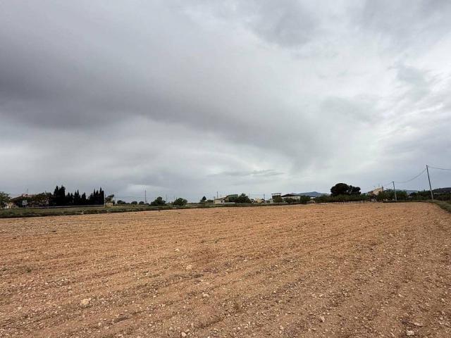 Terreno en venta en el Vinalopó Mitjà / El Vinalopó Medio, Valencia